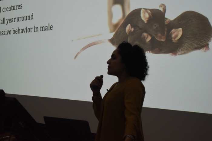 Departmental Activities